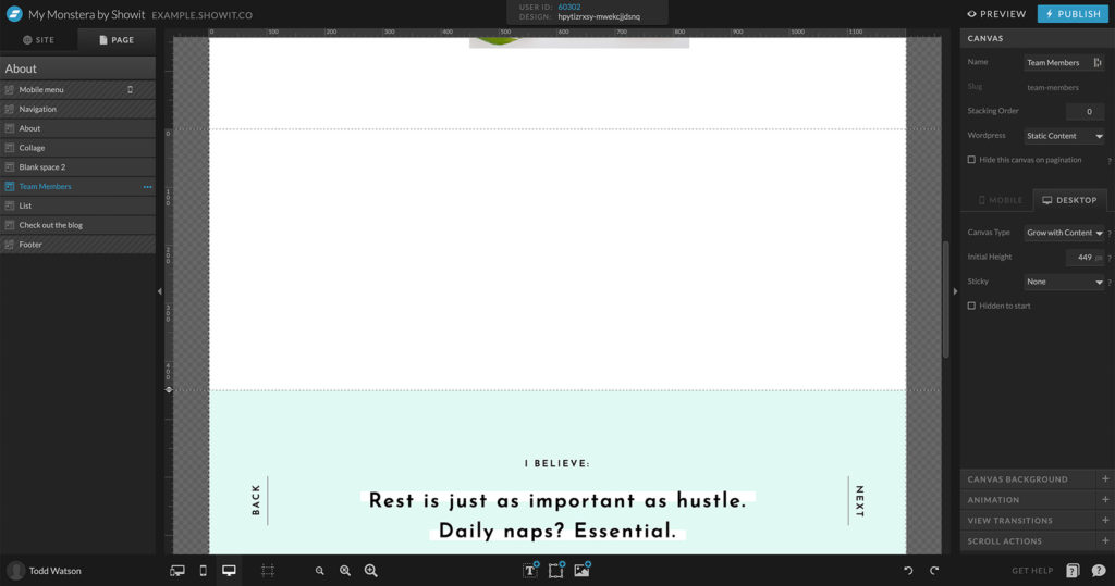 23-Blank-Canvas-Add-1 - Showit Blank canvas to add in post loop on Showit