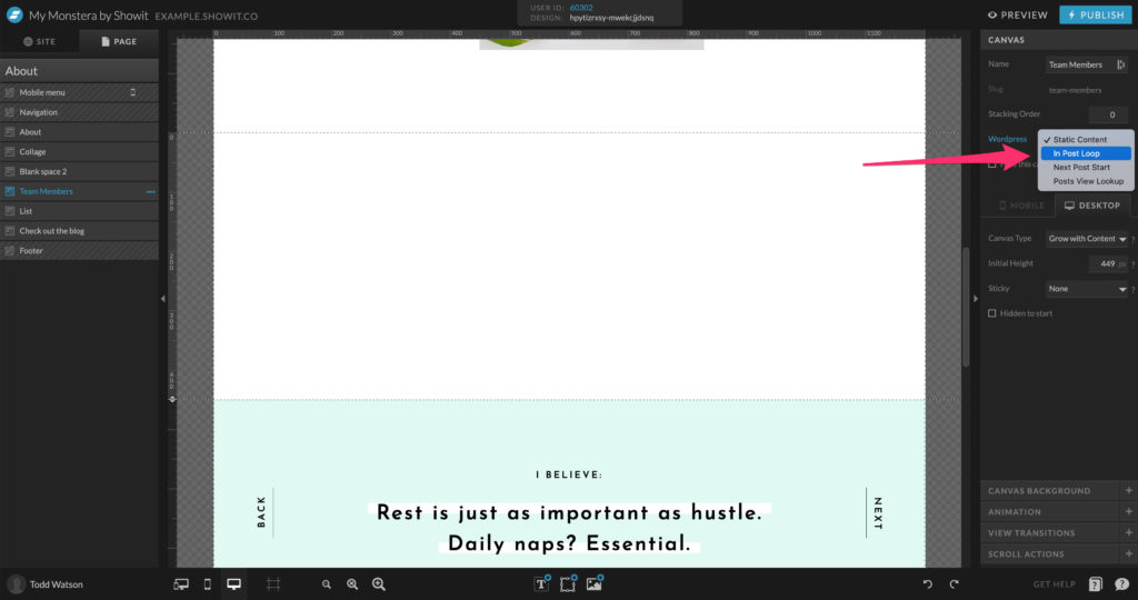 24-In-Post - Showit Where to change canvas to In Post Loop on Showit