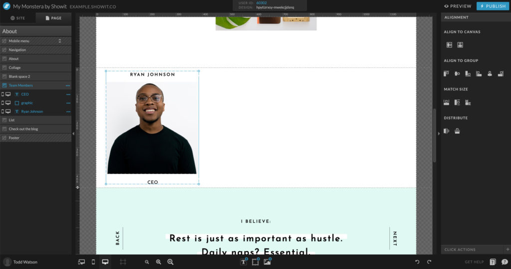 27-Adding-Content - Showit adding placeholders to Showit canvases for WordPress
