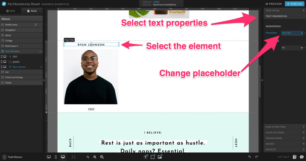 28-Changing-Placeholders - Showit Selecting elements and changing their properties to change Post Title