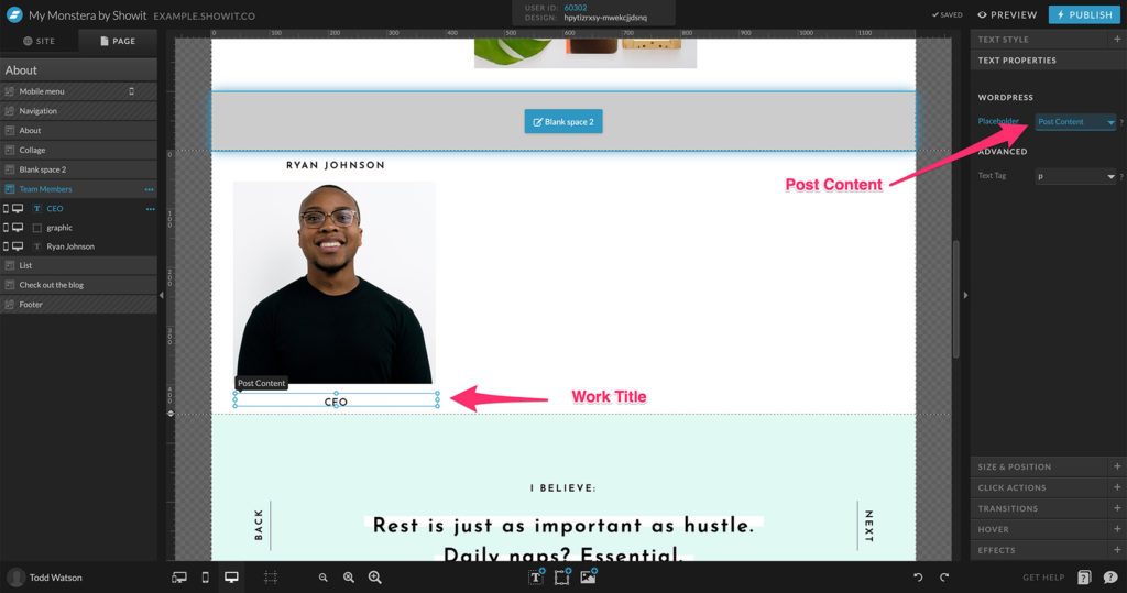29-Work-Title-Placeholder - Showit Selecting elements and changing their properties to change Post Content