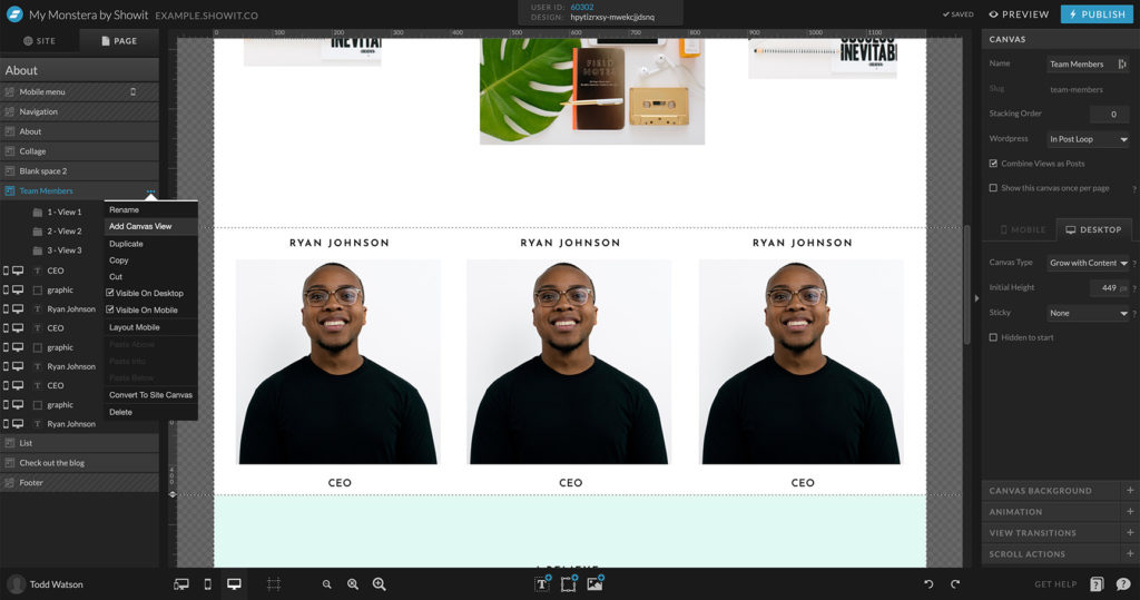 31-Canvas-Views - Showit Adding canvas views for wordpress custom post types with Showit