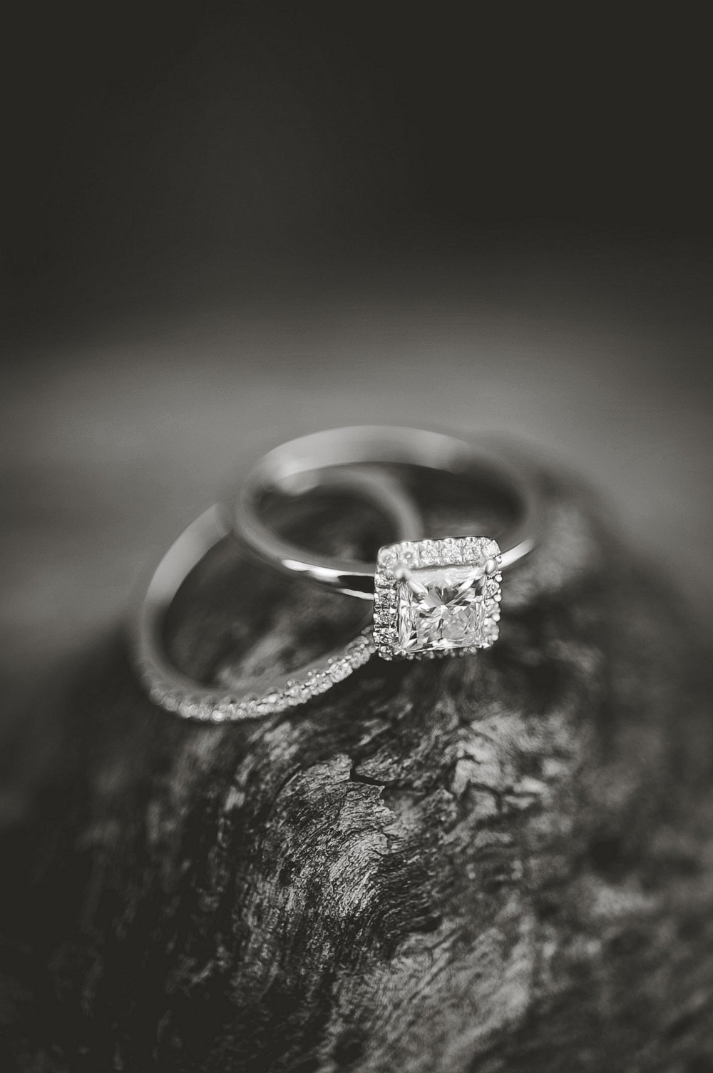 View More: http://cassiejonesphoto.pass.us/wedding-portfolio-1 - Showit View More: http://cassiejonesphoto.pass.us/wedding-portfolio-1