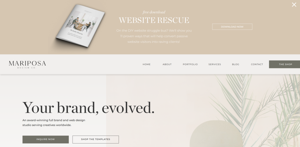 mariposaCTA - Showit