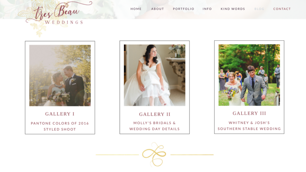 Portfolio1 (3) - Showit Updating your online portfolio with galleries