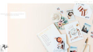 Portfolio1 (6) - Showit Two online storefronts under one domain and one Showit +site.