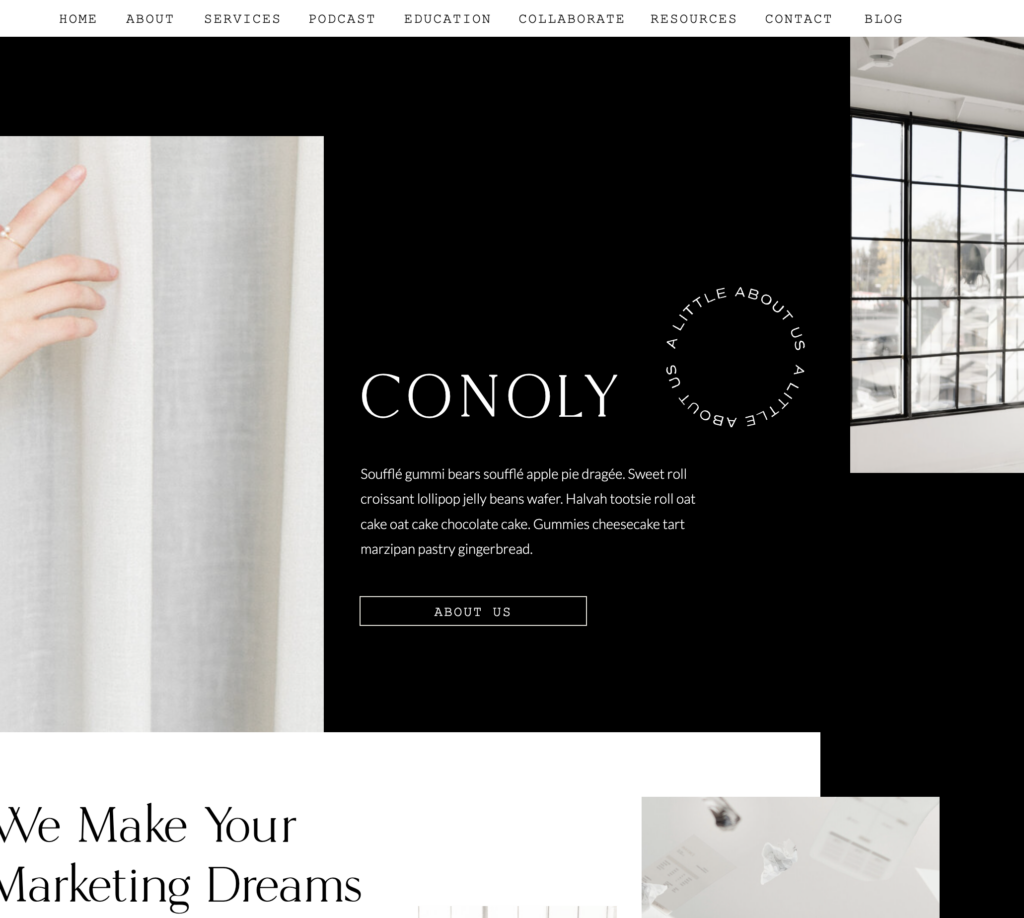 Coaching & Consulting Website Templates Conoly