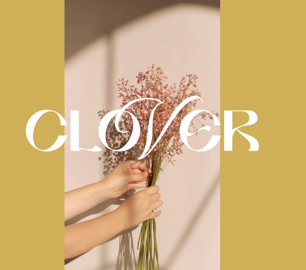 Screenshot 2026-03-04 at 100554 AM - Showit